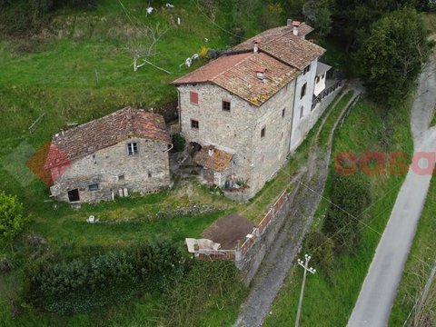 Prima foto dell'immobile