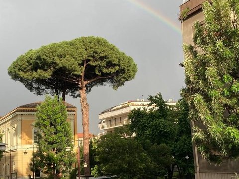 Prima foto dell'immobile