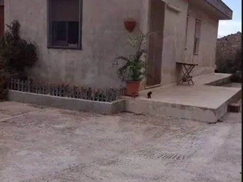 Prima foto dell'immobile