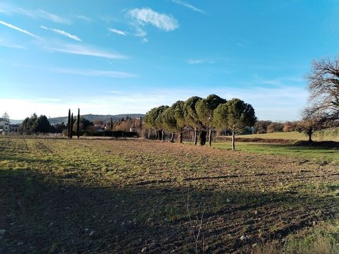 Prima foto dell'immobile