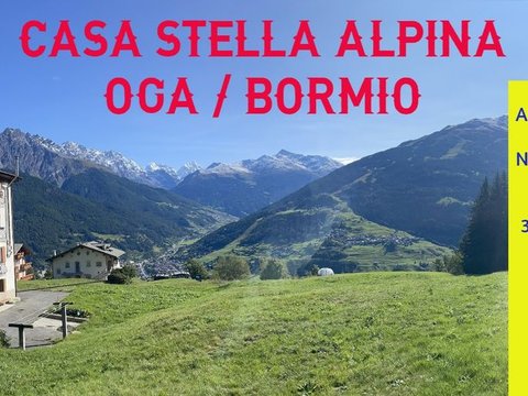 Prima foto dell'immobile