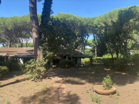 Перша фотографія об’єкта нерухомості