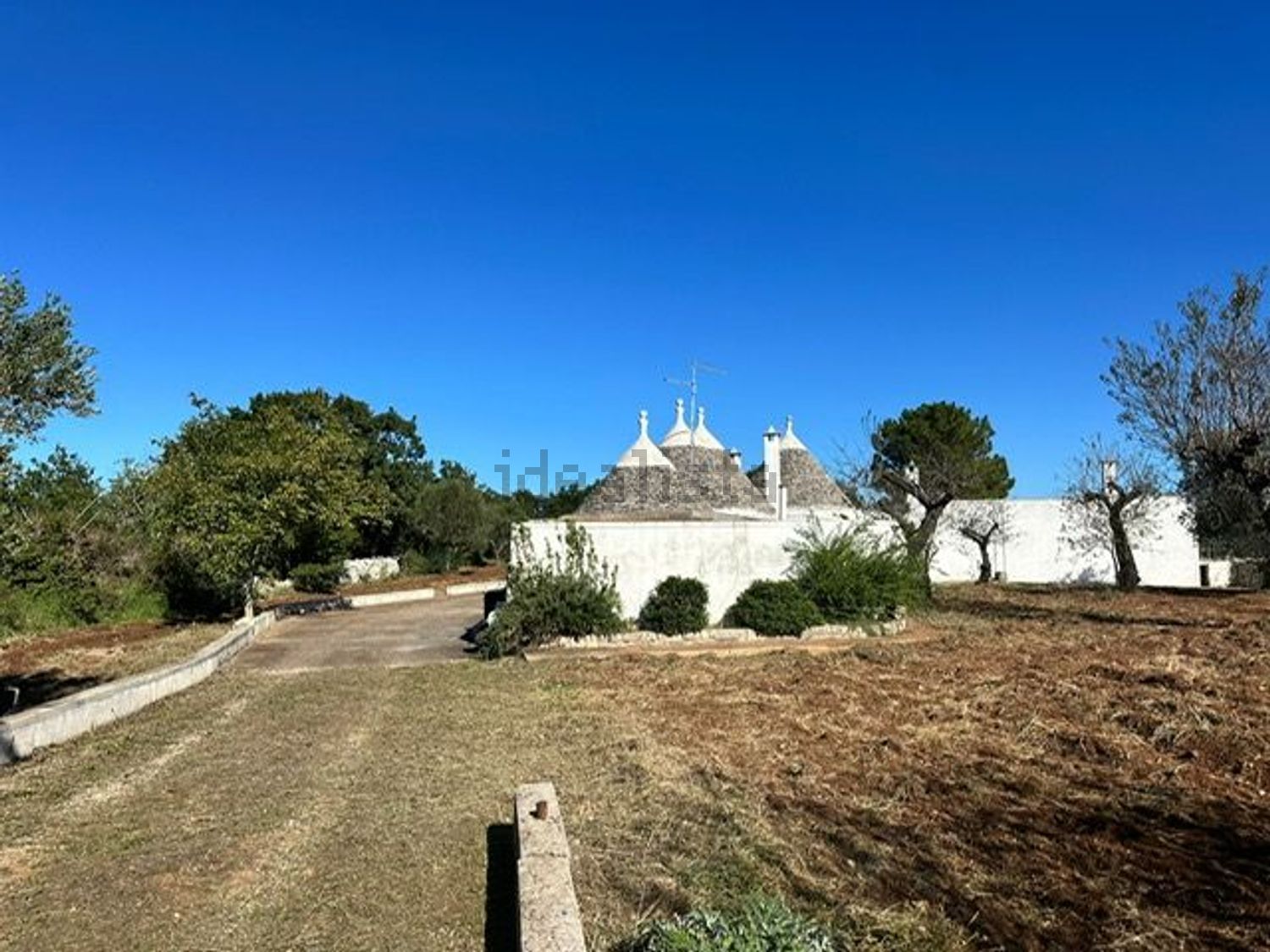 Villa o villino in affitto a Castellana Grotte