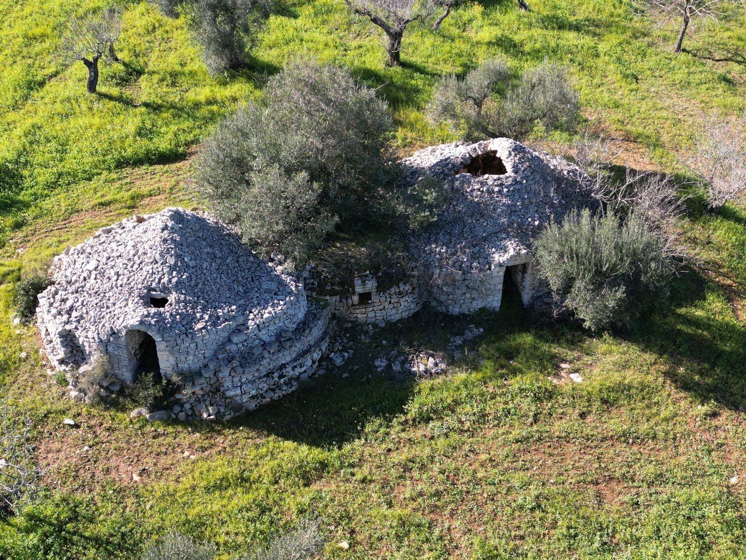 Altro in vendita a Castellana Grotte