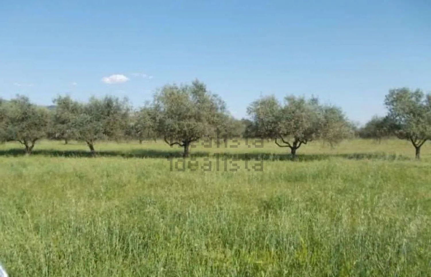 Terreno in vendita a Vezzano Ligure