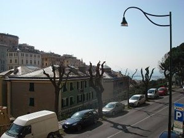 Appartamento In Affitto
