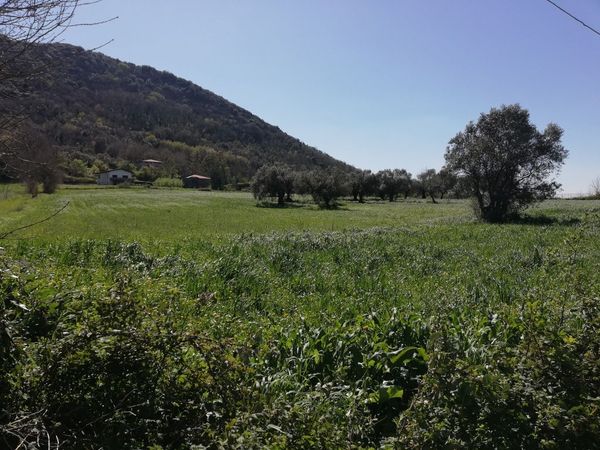 Terreno / Terreno In Vendita