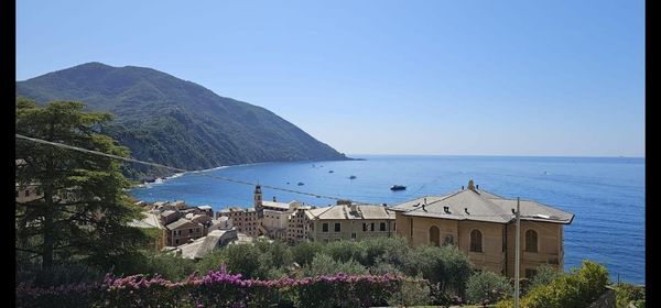 Appartamento In Affitto