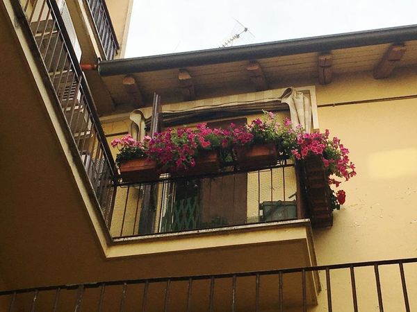 Appartamento In Affitto