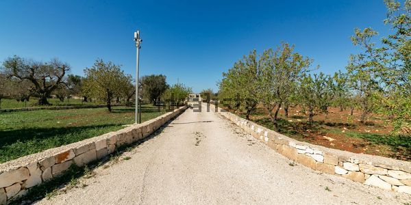 Villa in Contrada Falghero s.n.c, Santa Caterina - Ramunno - Chianchizzo, Ostuni — image 4