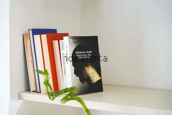 Bilocale in Vanchiglia, foto 17 di 32