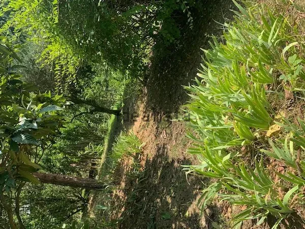 Appartamento in Sassi, foto 23 di 60