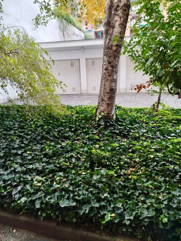 Stanza doppia in Vanchiglia, foto 16 di 16