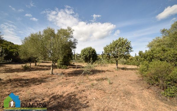 3-bedroom freehold villa in Olbia — photo 2 of 5