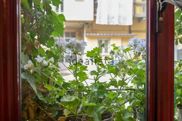 Appartamento in San Salvario, foto 38 di 46