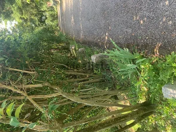 Appartamento in Sassi, foto 39 di 60