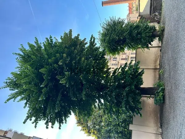 Appartamento in San Donato, foto 33 di 37