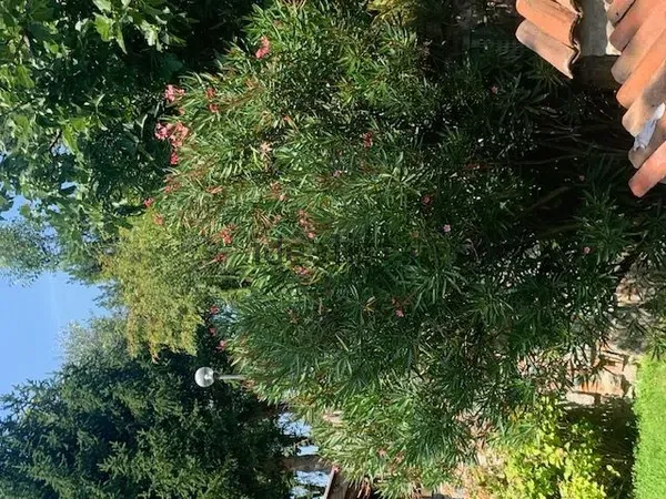Appartamento in Sassi, foto 43 di 60