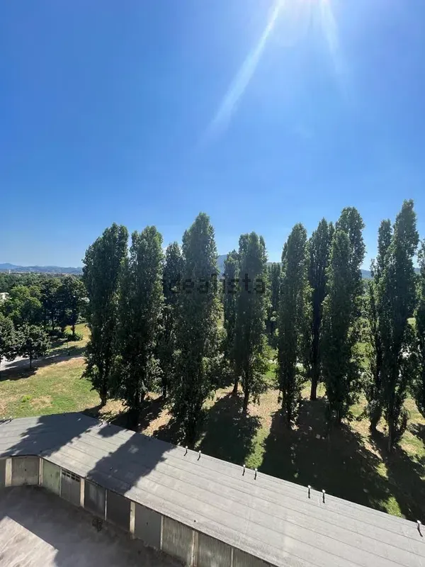 Stanza singola in Regio Parco, foto 20 di 21