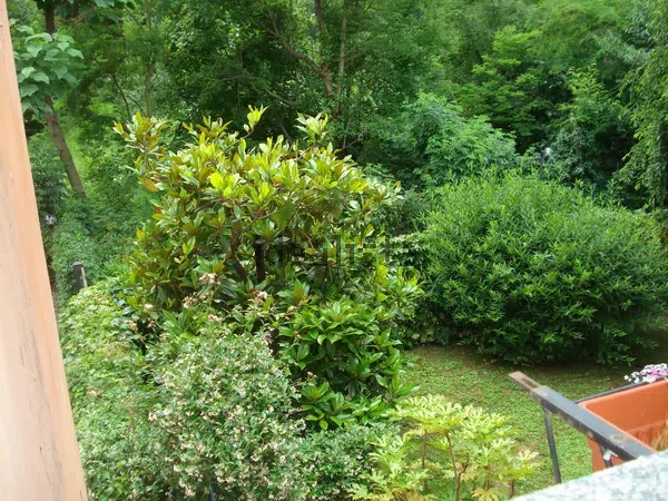 Trilocale in Borgo Po, foto 23 di 31
