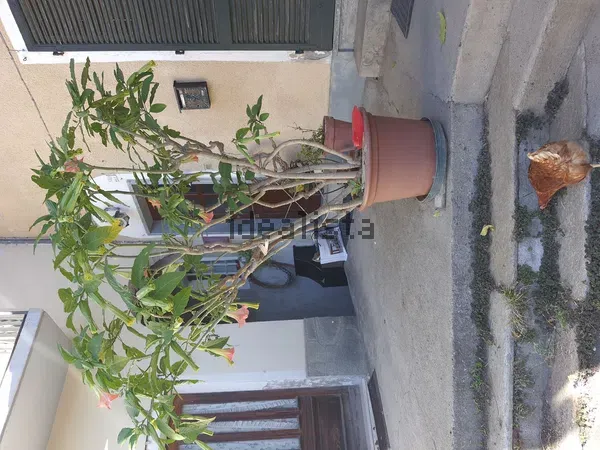 Appartamento in Sassi, foto 43 di 79