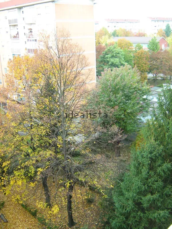 Stanza doppia in Mirafiori Sud, foto 14 di 16