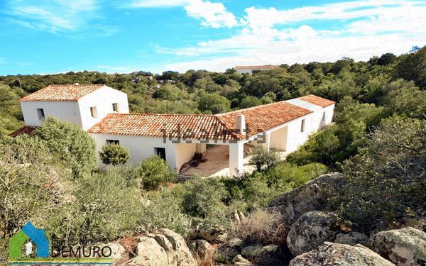 3-bedroom freehold villa in Olbia — photo 5 of 5