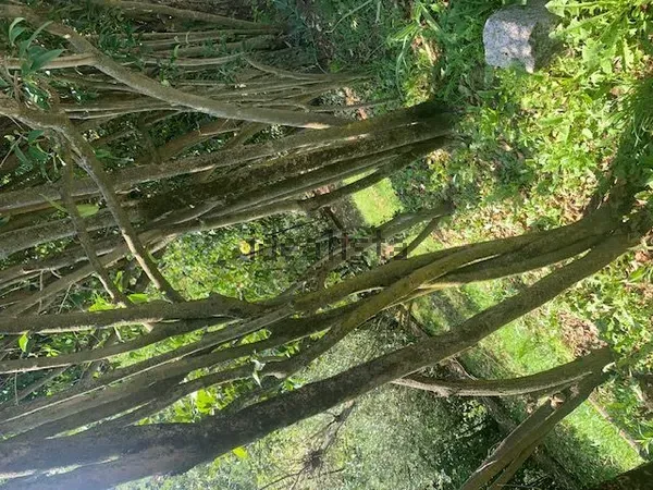 Appartamento in Sassi, foto 40 di 60