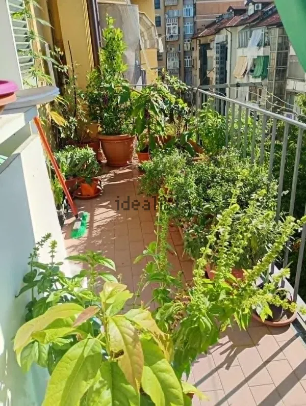 Stanza doppia in Parella, foto 15 di 17