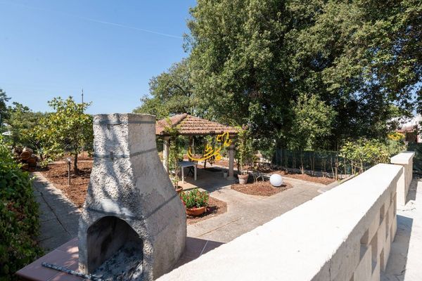 Trullo in Contrada Mancini, Locorotondo — image 3