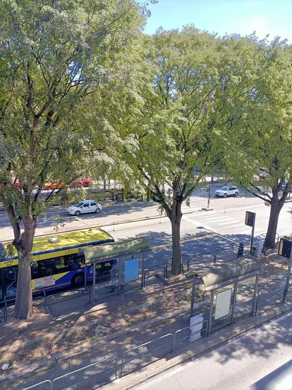 Posto letto in doppia in Lucento, foto 10 di 10