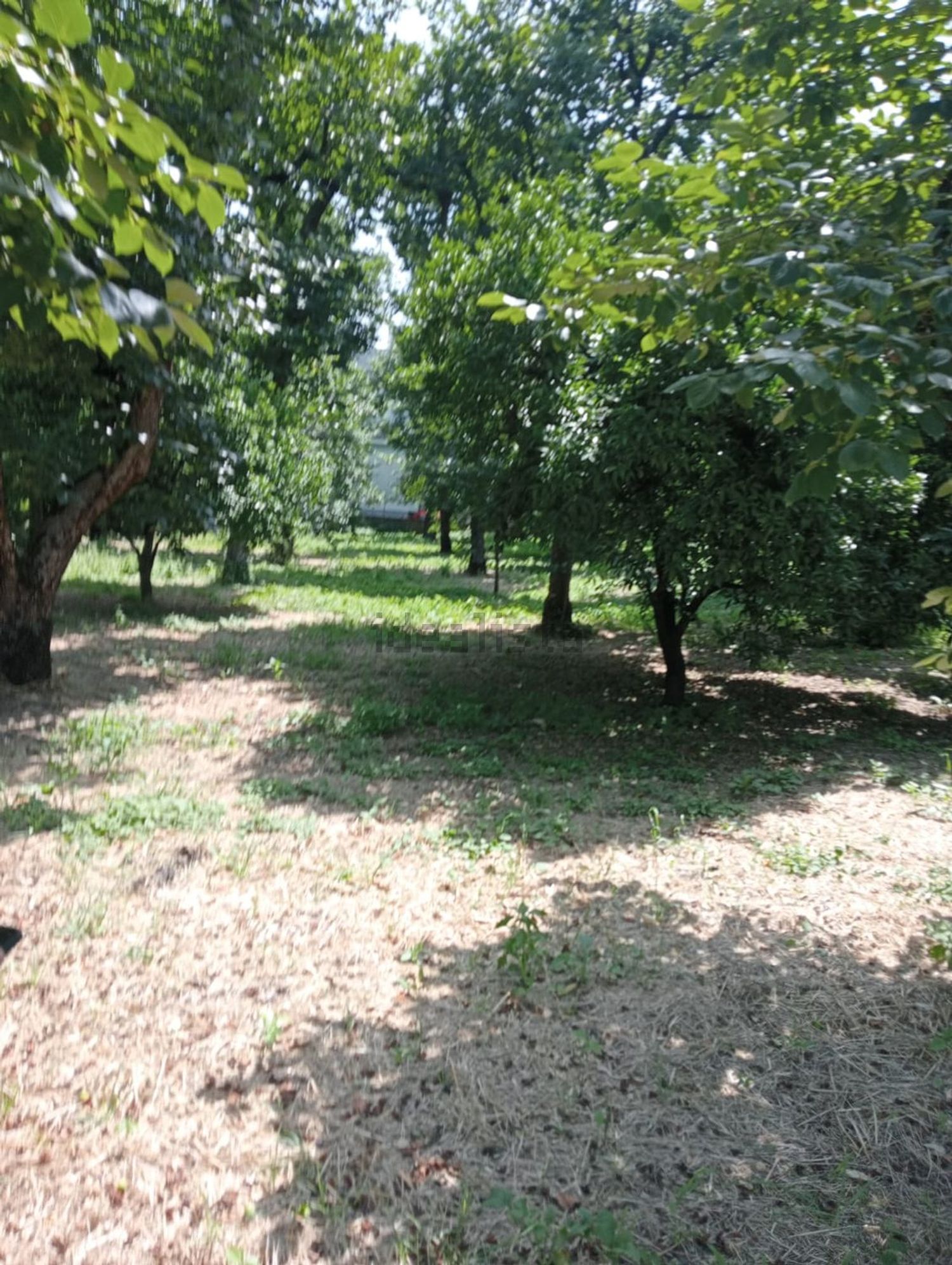 Rustici e casali a Sant'Egidio del Monte Albino