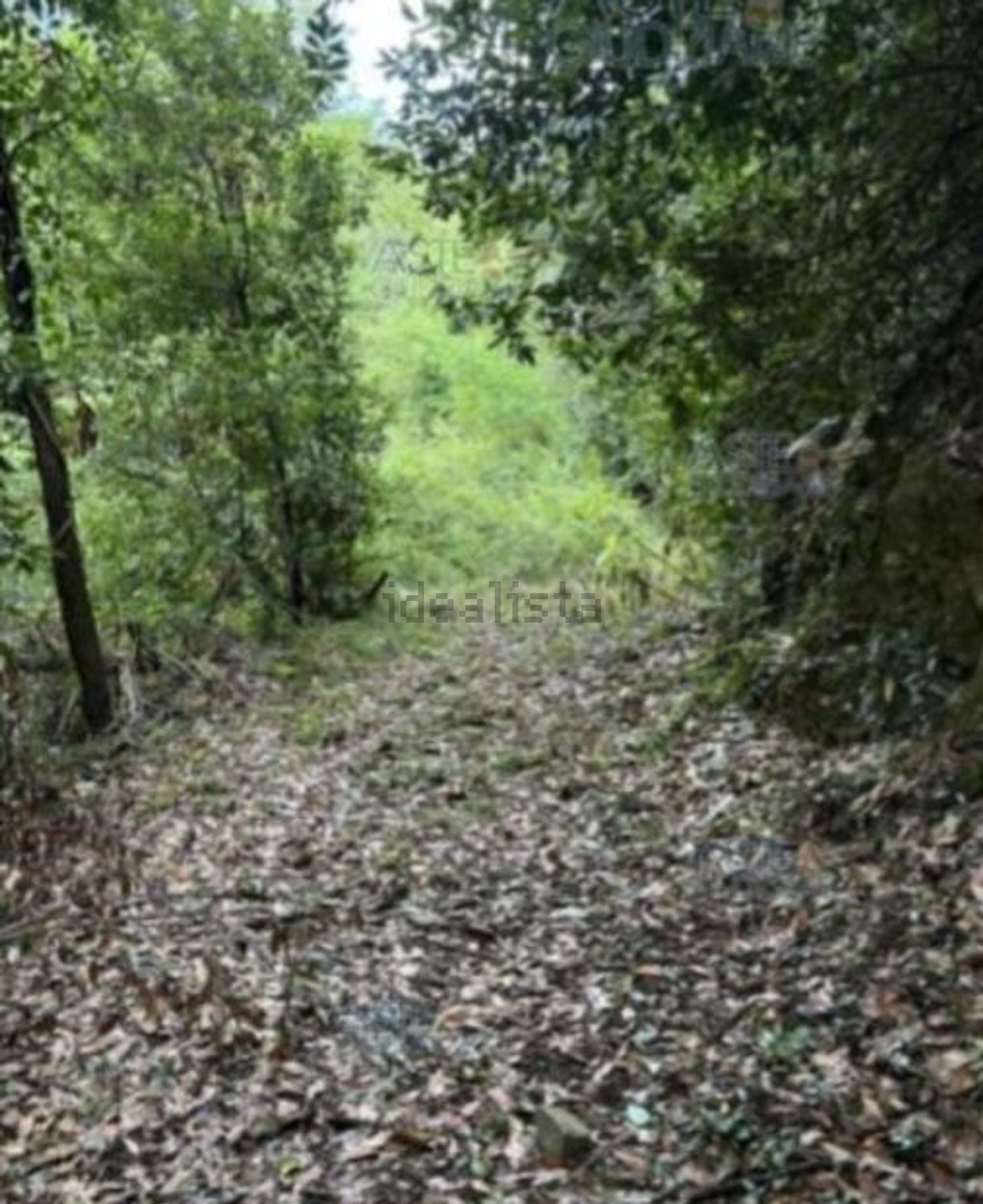 Appartamento a Centro di Serravalle, Serravalle Pistoiese
