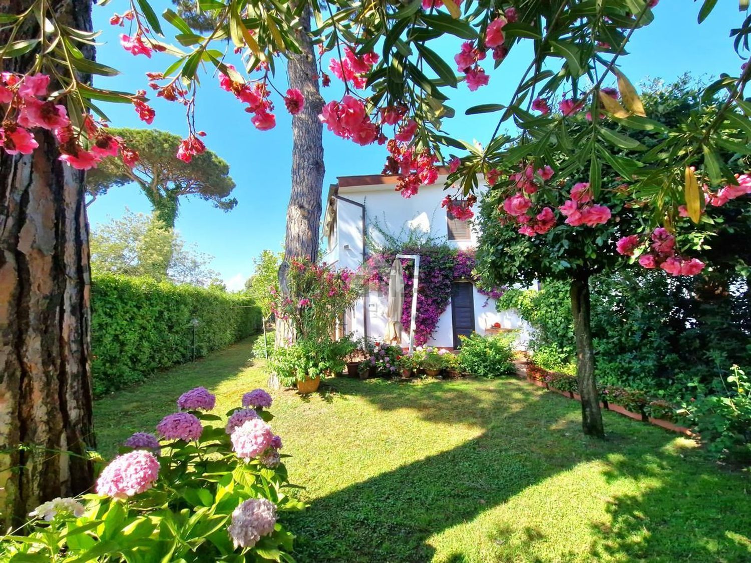 Casas o chalets en San Felice Circeo