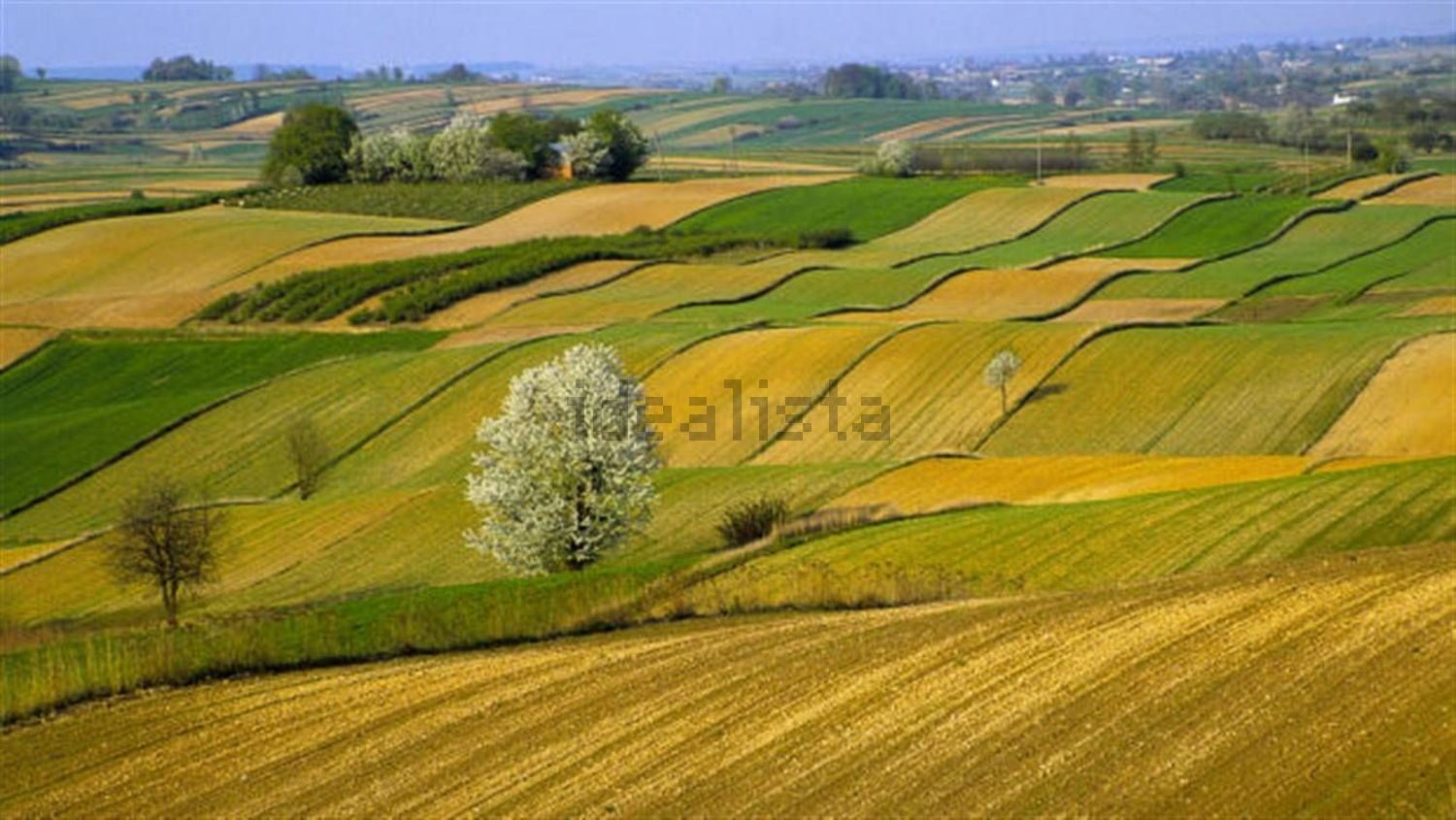 Rustici e casali a La Torba, Capalbio