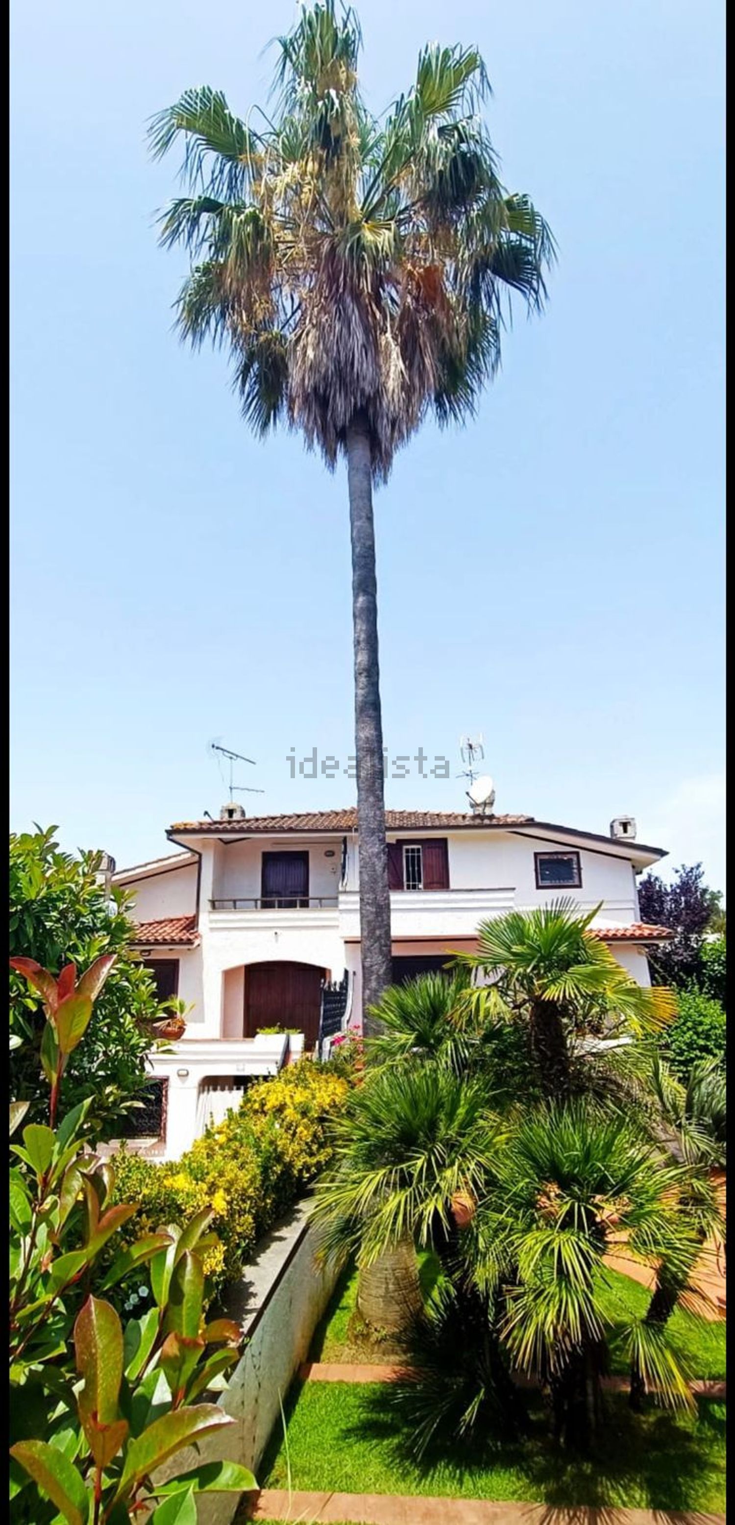 Maison jumelée à San Felice Circeo