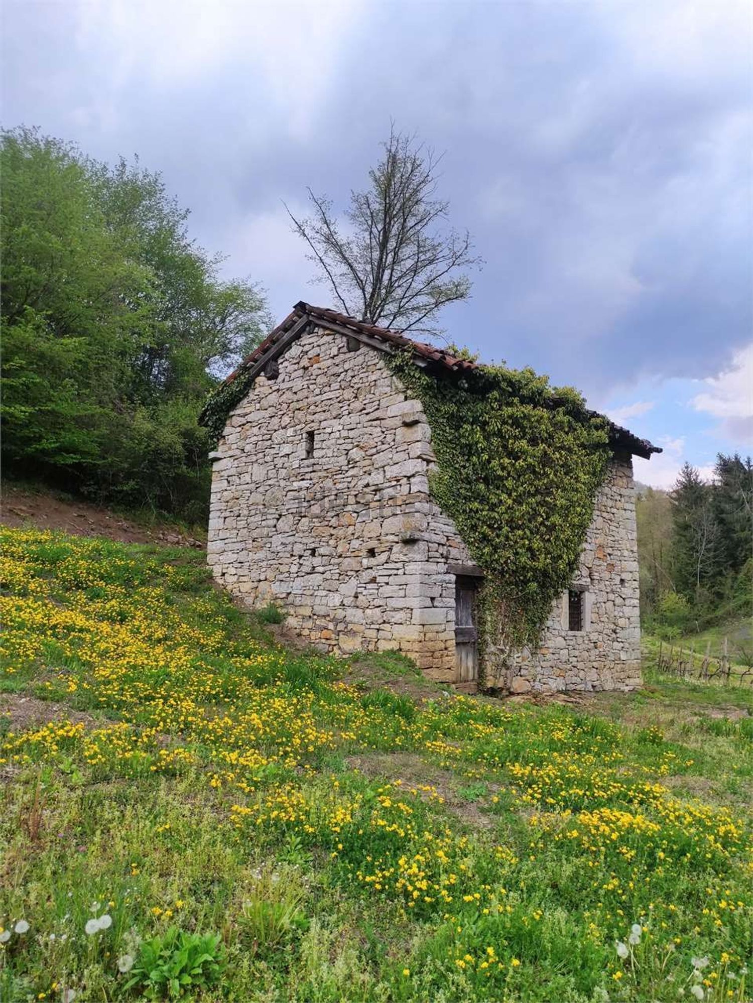 Landhäuser in Sant'Omobono Terme