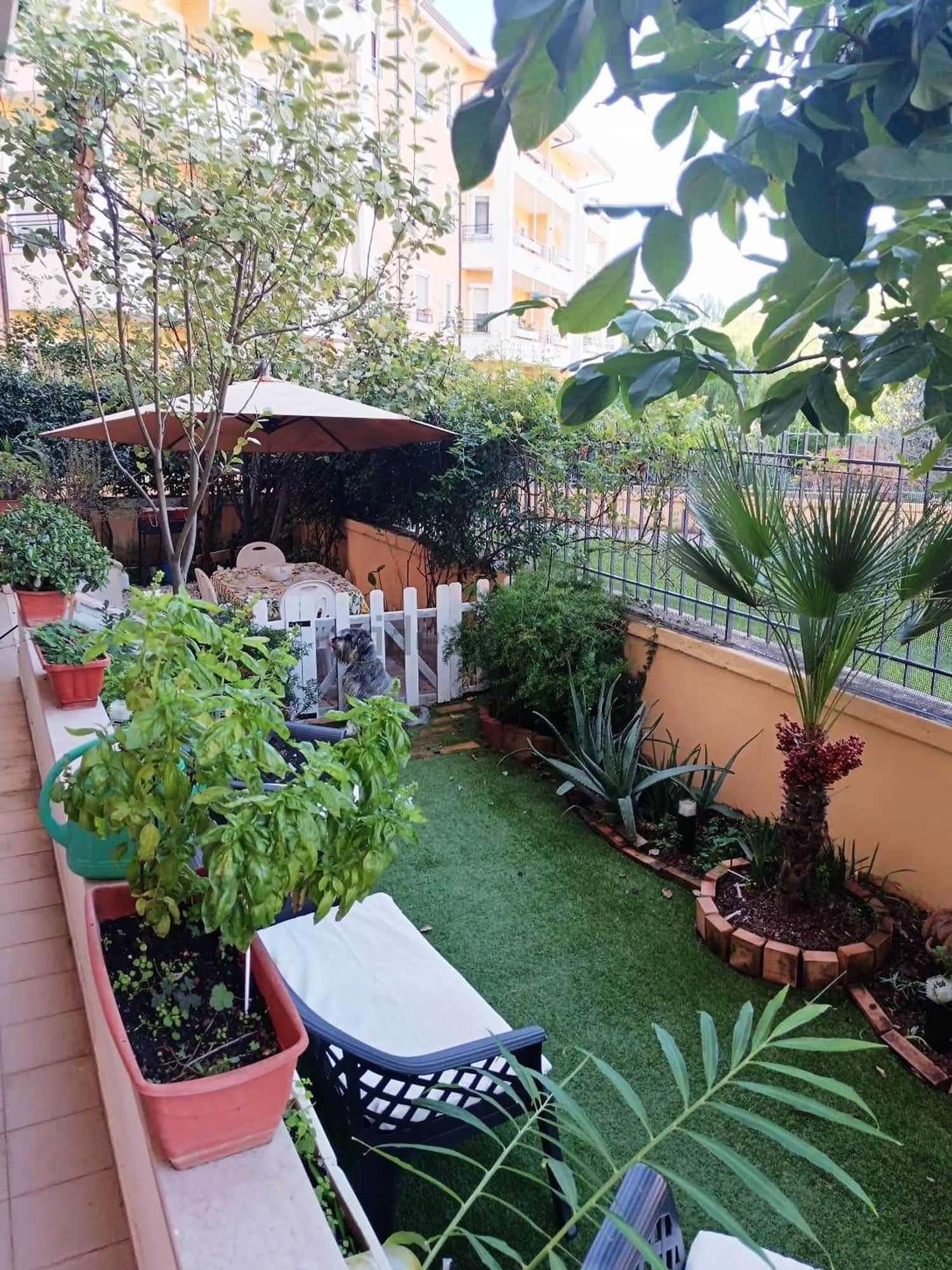 Flat in Montecorvino Pugliano