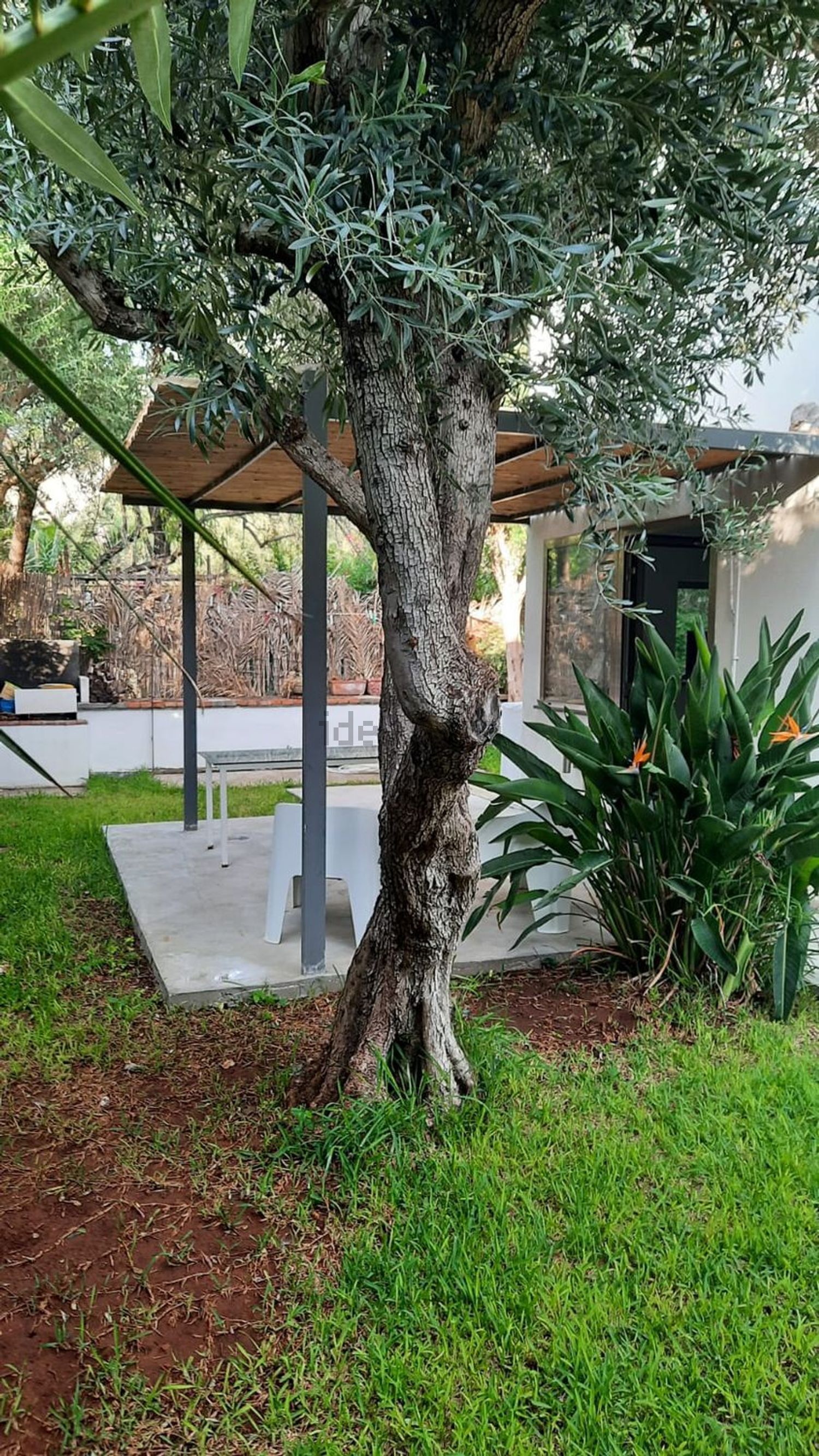 Chalet pareado en Mondello - Partanna, Palermo