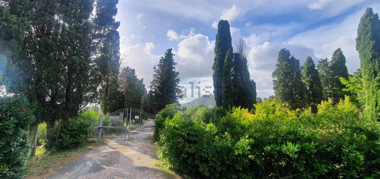 Appartement à Gabbro - Nibbiaia, Rosignano Marittimo