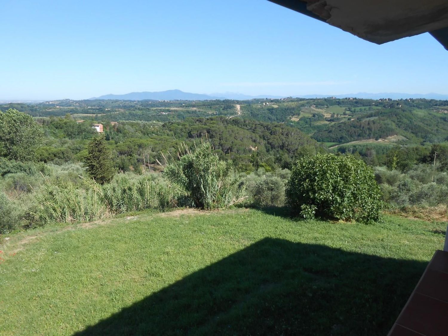 Rustici e casali a Palaia