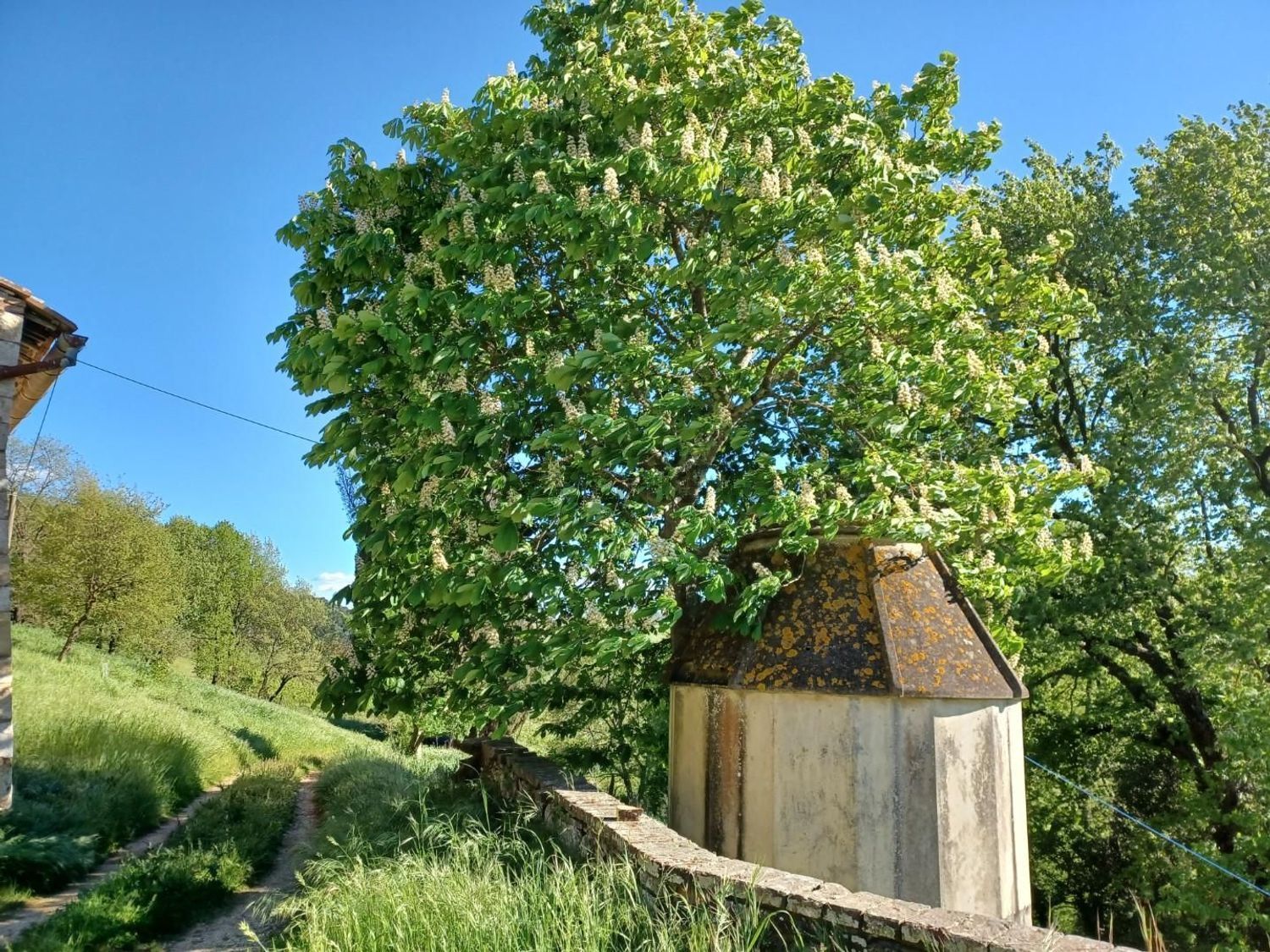 Maisons de campagne à Casole d'Elsa