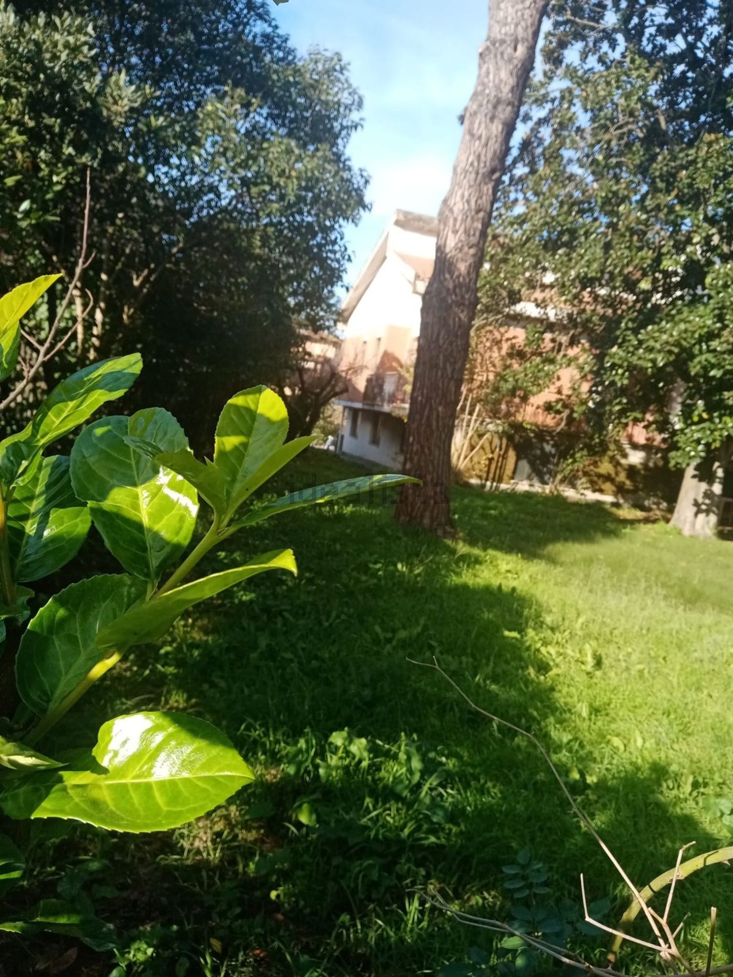 Case e ville a Ardea Paese, Ardea