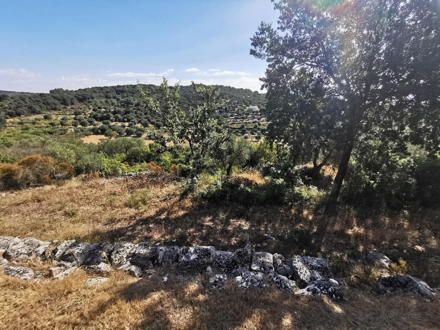 Landhäuser in Campanile - Fumarola - Cavallerizza, Ostuni