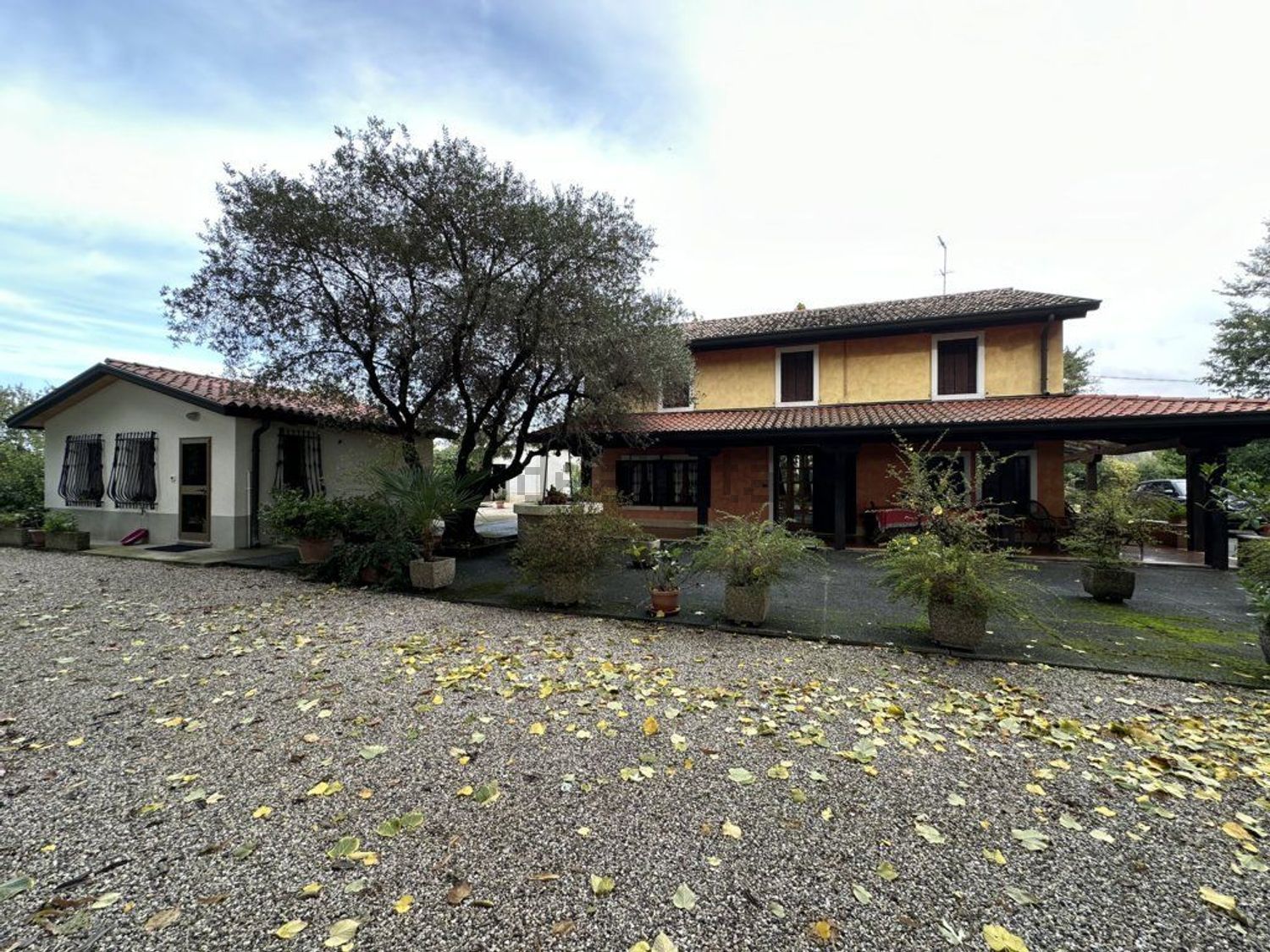 Houses in Mirano, Mirano