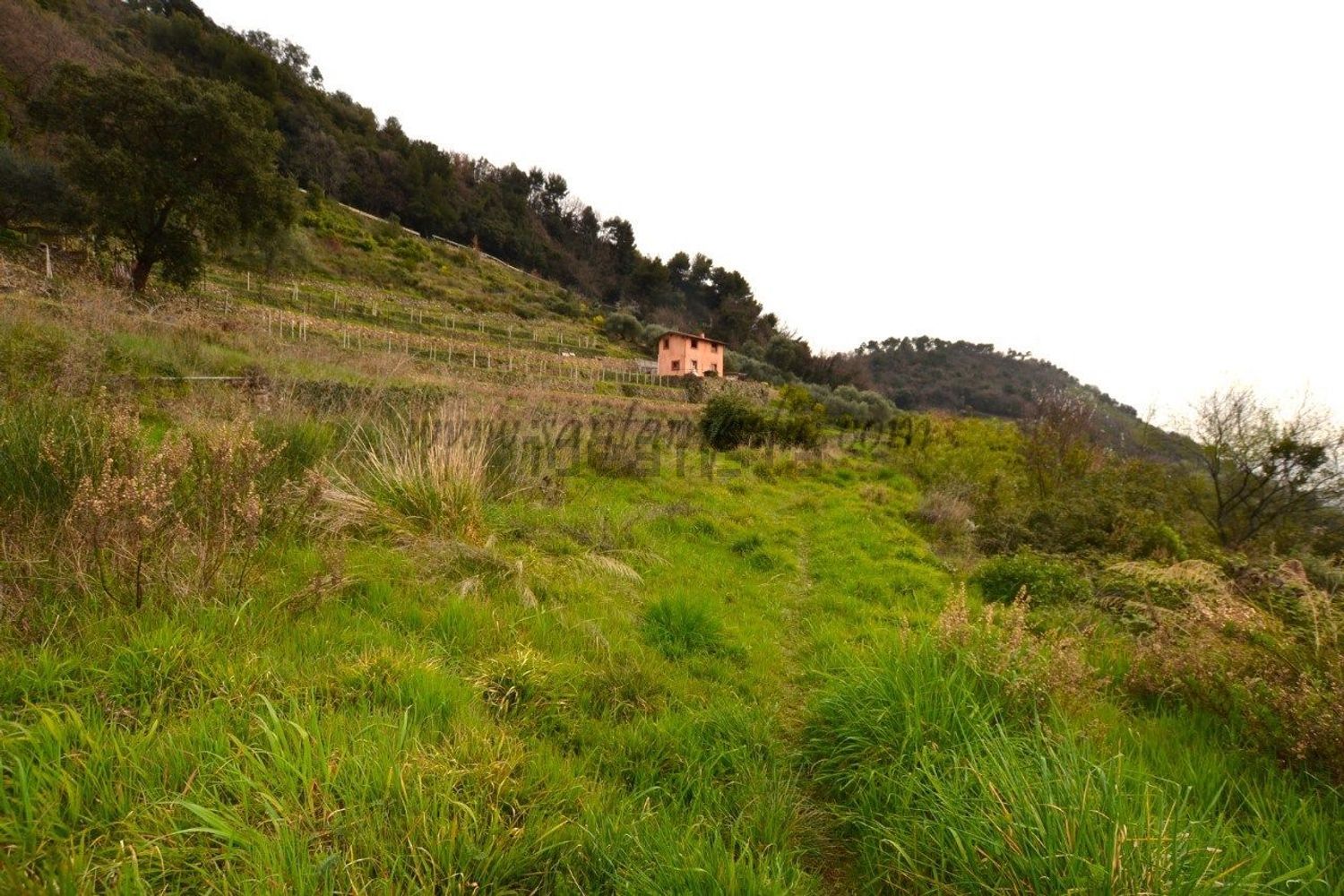 Casa di campagna a Vallebona