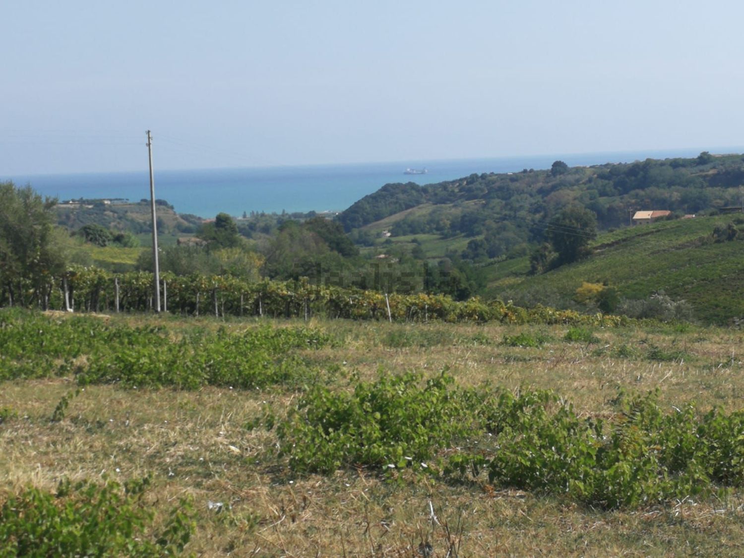 Propriété agricole à Ortona