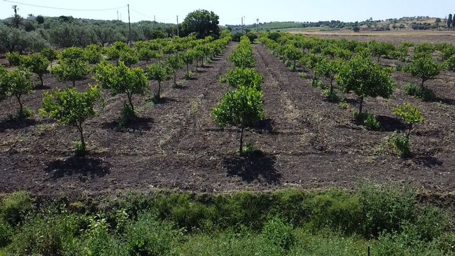Landhäuser in Riserva di Vendicari - Marzamemi - San Lorenzo, Noto