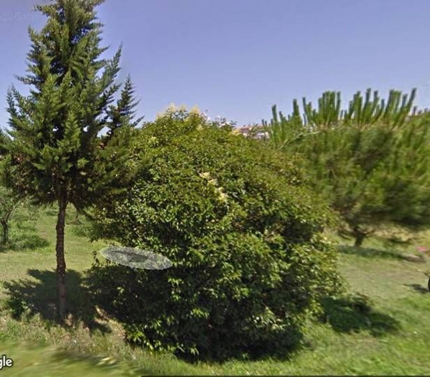 Appartement à Centro, Ponsacco