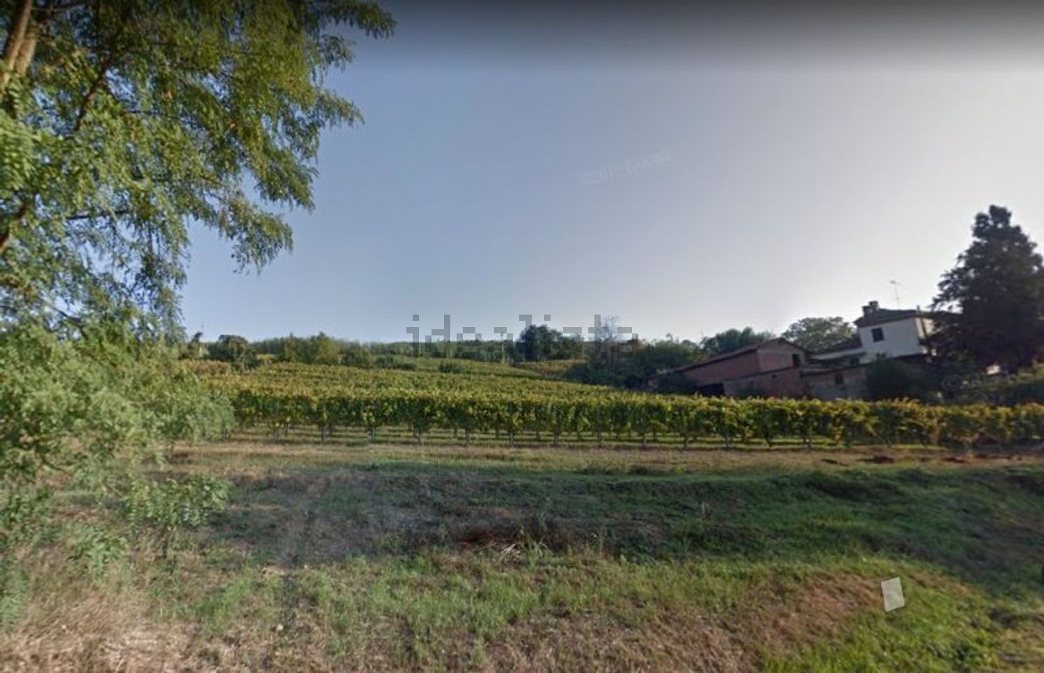 Country homes in Cassine